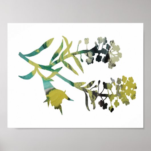 Alyssum Poster (Voorkant)