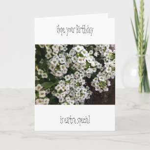Alyssum Verjaardag Kaart