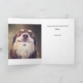 Am I The Drama? Kaart (Binnen)