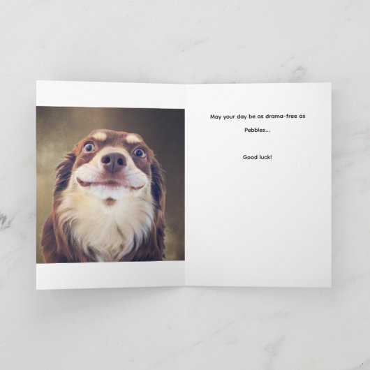 Am I The Drama? Kaart (Binnen)