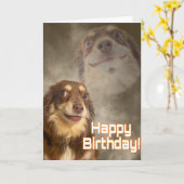 Am I The Drama? Kaart (Gele Bloem)