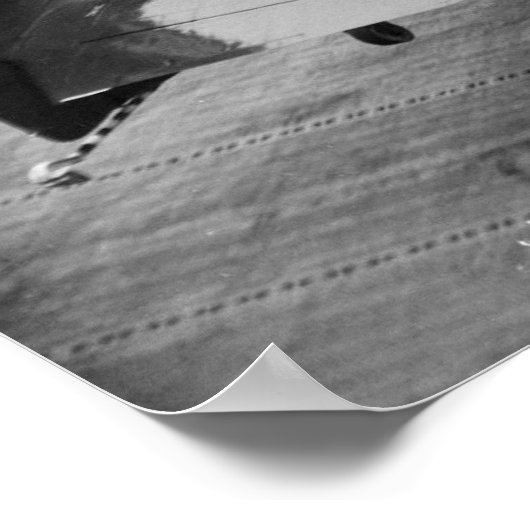 AM Mauler Poster (Hoek)