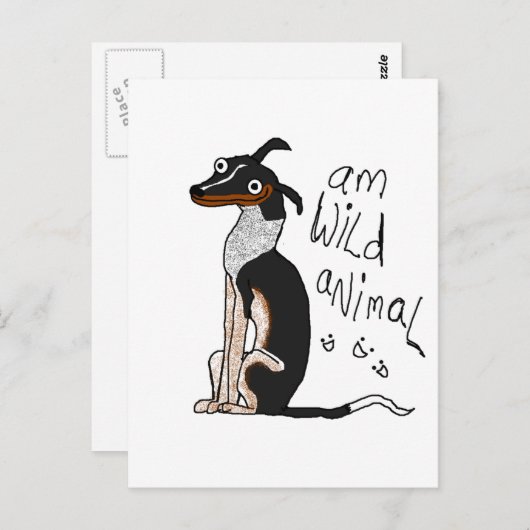 Am Wilde Dier Briefkaart (Voorkant / Achterkant)