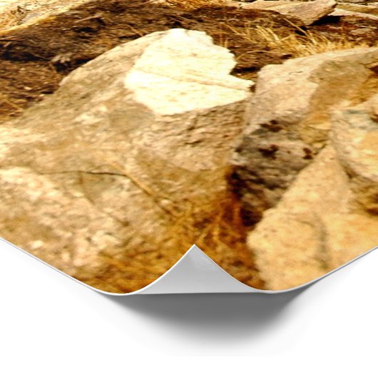 Ama Dablam Poster (Hoek)