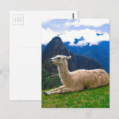 ama in Machu Picchu Briefkaart (Voorkant / Achterkant)