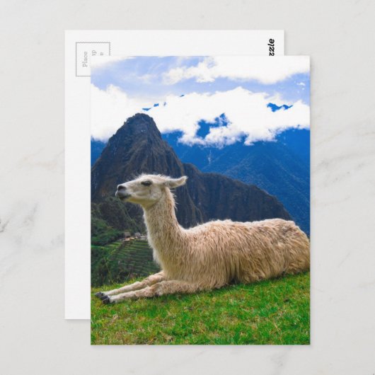 ama in Machu Picchu Briefkaart (Voorkant / Achterkant)