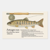 Amago (Oncorhynchus masou ishikawae) – English Rechthoekige Sticker (Voorkant)