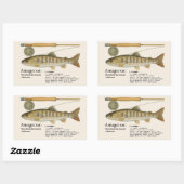 Amago (Oncorhynchus masou ishikawae) – Japanese Rechthoekige Sticker (Vel)