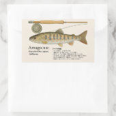 Amago (Oncorhynchus masou ishikawae) – Japanese Rechthoekige Sticker (Tas)