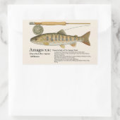 Amago (Oncorhynchus masou ishikawae) Rechthoekige Sticker (Tas)