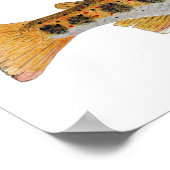 Amago Waterverf Poster (Hoek)