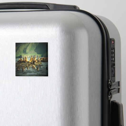 Amak Island Zee Lions Magneet (Insitu (bagage))