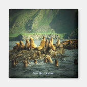 Amak Island Zee Lions Magneet (Voorkant)