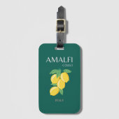 Amalfi Coast, Italië, Reiskunst, Retro, Groen Bagagelabel (Voorkant (verticaal))