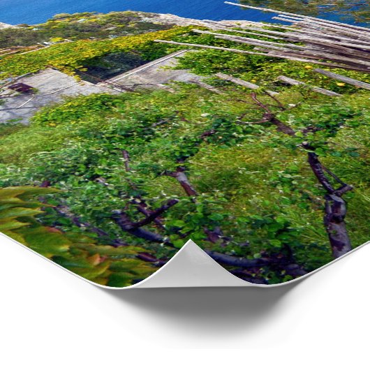 Amalfi Coast Italy Poster (Hoek)