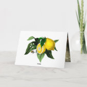 Amalfi Coast Lemons | Uw foto en tekst Bedankkaart (Achterkant)