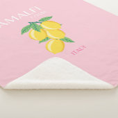 Amalfi Coast, Preppy Room, Roze Sherpa Deken (3/4)