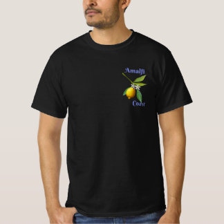Amalfi coast t-shirt