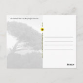 Amalfi Coast Umbrella Pine Tree, Italië - briefkaa Briefkaart (Achterkant)