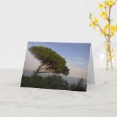 Amalfi Coast Umbrella Pine Tree, Italië - Kaart (Gele Bloem)