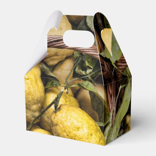 Amalfi Lemon Basket Bedankdoosjes (Achterkant)