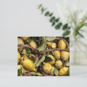 Amalfi Lemon Basket Briefkaart (Staand voorkant)