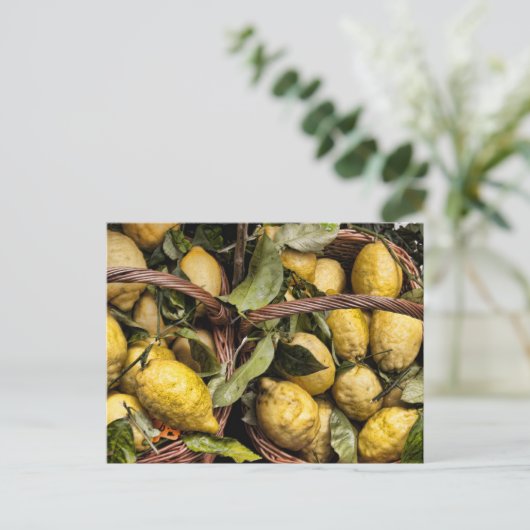 Amalfi Lemon Basket Briefkaart (Staand voorkant)
