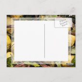 Amalfi Lemon Basket Briefkaart (Achterkant)