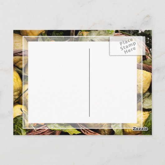 Amalfi Lemon Basket Briefkaart (Achterkant)
