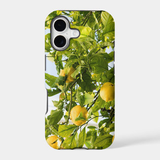 Amalfi Lemon Dream #2 #reis #muur #art
