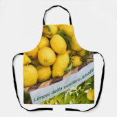 Amalfi Lemon Dream #3 #reis #muur #art Schort (Voorkant)