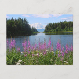 Amalga-uitzichten Briefkaart