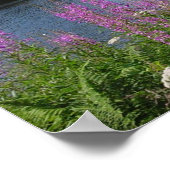 Amalgafireweed Poster (Hoek)