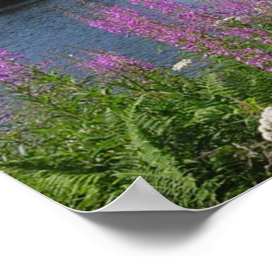 Amalgafireweed Poster (Hoek)