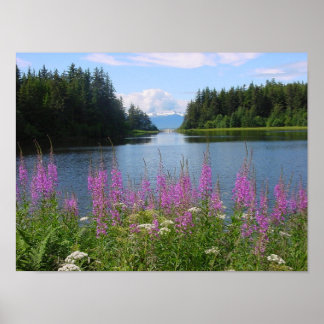 Amalgafireweed Poster