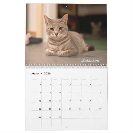 Amanda Flower Kattenkalender 2025 Kalender (Mar 2026)