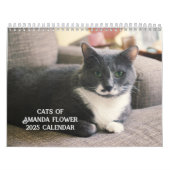 Amanda Flower Kattenkalender 2025 Kalender (Hoes)