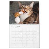 Amanda Flower Kattenkalender 2025 Kalender (Feb 2027)