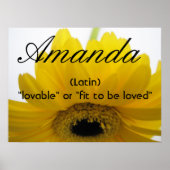 Amanda Name betekening Poster (Voorkant)
