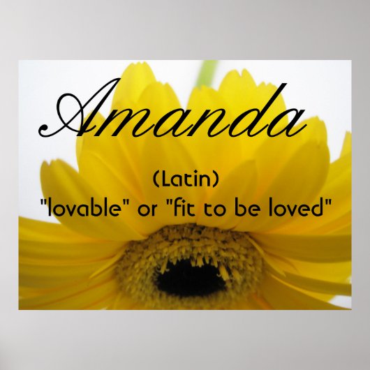 Amanda Name betekening Poster (Voorkant)