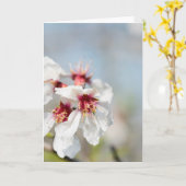 Amandelbloeding Kaart (Gele Bloem)