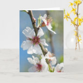 Amandelbloeding Kaart (Gele Bloem)