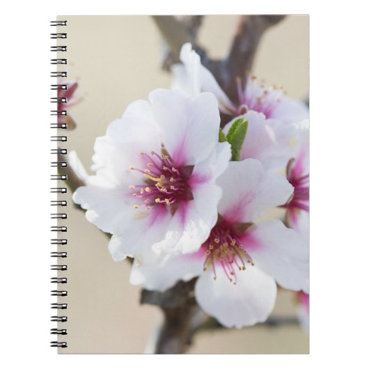 Amandelbloeding Notitieboek (Voorkant)