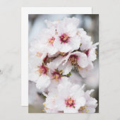 Amandelbloei Kaart (Voorkant / Achterkant)