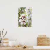 Amandelbloei Poster (Keuken)