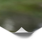 Amandelbloesem close-up perfect poster (Hoek)