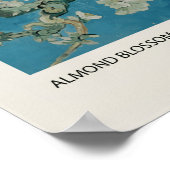 Amandelbloesem Poster (Hoek)
