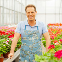 Amandelbloesem, Van Gogh Kunst