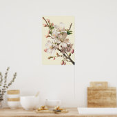 Amandelbloesems bloemenkunst Print Poster (Keuken)