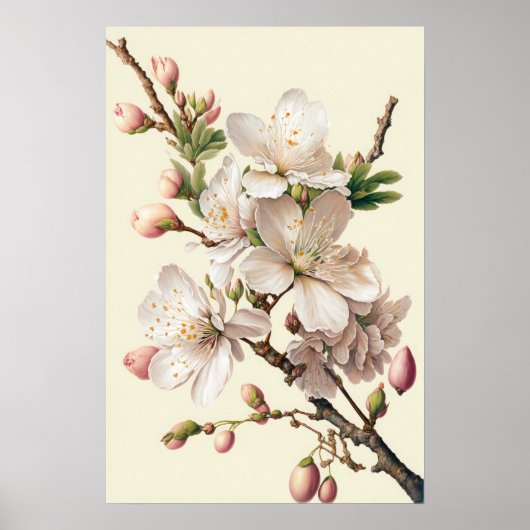 Amandelbloesems bloemenkunst Print Poster (Voorkant)